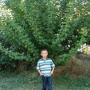 Christopher Fritz Photo 10