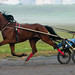 Eddie Adams Photo 19