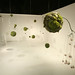 Michele Yang Photo 11