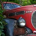 Richard Kemp Photo 21