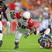 Roderick Rogers Photo 12