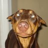 Elizabeth Dotson Photo 8