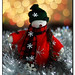 Lisa Cutter Photo 14