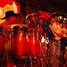 Daniel Serna Photo 11