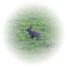 Don Duffield Photo 7