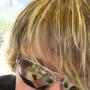 Todd Mitchell Photo 13