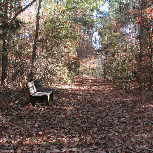 Robert Shackleford Photo 3