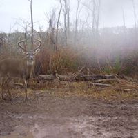 Michael Thibodeaux Photo 10