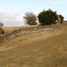 Kenneth Dyke Photo 13
