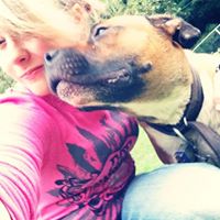 Sandra Workman Photo 4