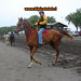Ricardo Carrera Photo 35
