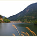 Tong Lu Photo 8