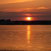 Marc Toth Photo 17