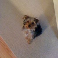 Joann Jenkins Photo 18