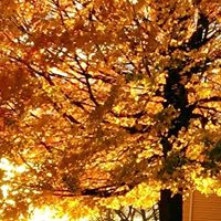 Christine Lacy Photo 34