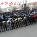 Omar Othman Photo 17