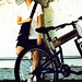 Lily Chen Photo 38