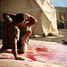 Roy Dutton Photo 23