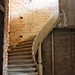 Karl Krause Photo 5