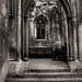 David Laing Photo 19