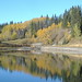 Bill Allen Photo 21