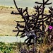 Justin Jaramillo Photo 39