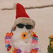 Pat Person Photo 18