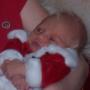 Nancy Shanks Photo 20