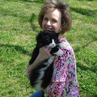Kimberly Bruce Photo 18
