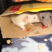 Ruby Humphrey Photo 14