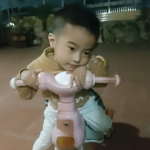 Thi Trinh Photo 9