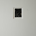 Rachel Jackson Photo 25