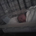 Sean Mcnamee Photo 14