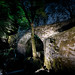 Mark Howell Photo 22