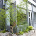 Joan Weber Photo 37