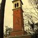 Stephen Bell Photo 31