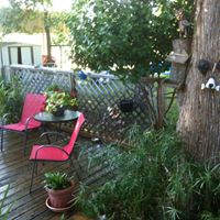 Cheryl Schell Photo 21