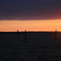 Pamela Coburn Photo 6