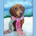 Jill Wiener Photo 13