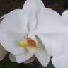 Cheryl Lloyd Photo 12