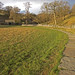 Janet Field Photo 19
