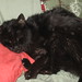 Susan Krause Photo 46