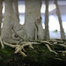 Adam Krohn Photo 18