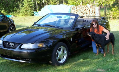 Vicki Johnson Photo 33