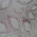Renee Miller Photo 13