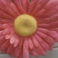 Delores Simmons Photo 28