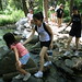 Jeanne Cross Photo 11
