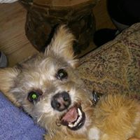 Janet Wolf Photo 22