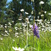 Janice Ray Photo 12