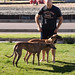 Sandy Sherman Photo 15